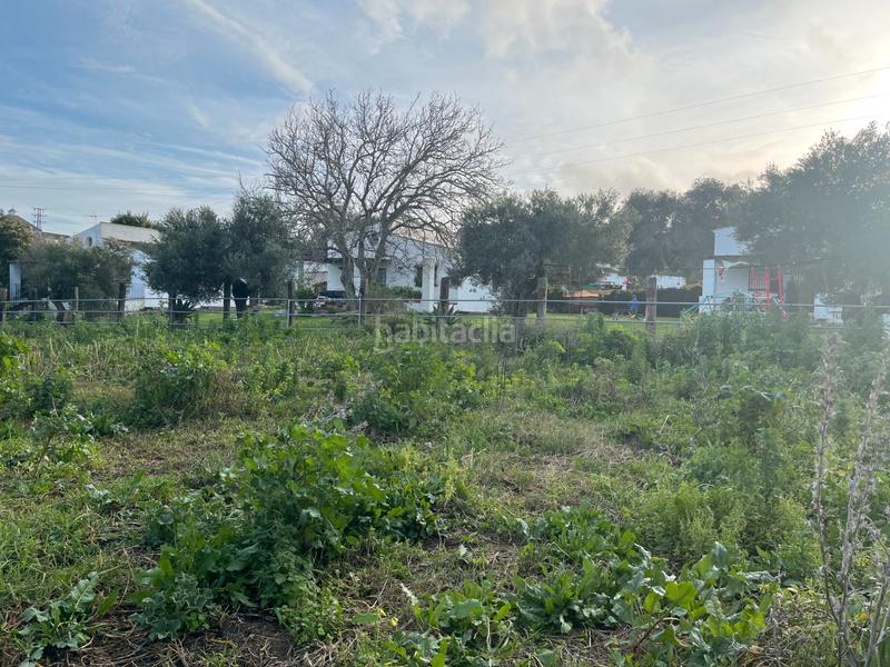 Foto 4276d06c-6e30-4ed1-a4ff-891fe7702932. Chalet  independiente con escrituras en Vejer en Vejer de la Frontera