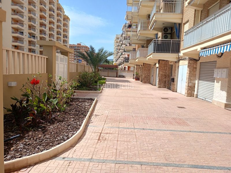 Foto 2bdbd5ac-0ebe-44f0-a9e5-37ee0705151d. Apartament amb piscina a Playa de Gandía Gandia