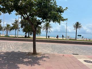 Apartament  Travessia marítim neptú. Apartamento en primera linea, playa de gandia