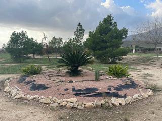 Xalet en Agost. Se vende finca rstica en agostalicante