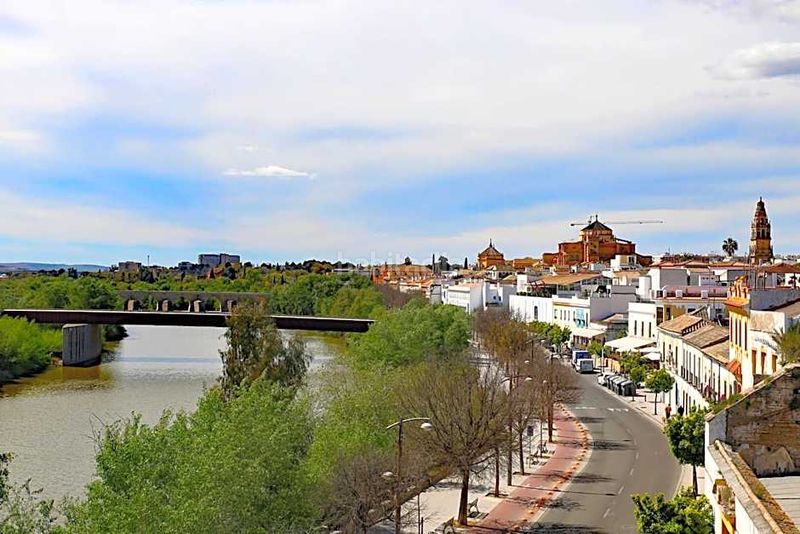 Foto 46f7c2c6-f2f2-4921-8ddd-4c23c8d3650e. Edifici a paseo de la ribera 22 a Campo de la Verdad - Miraflores Córdoba