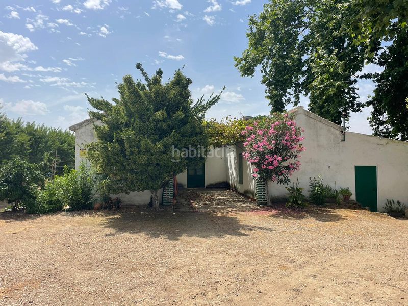 Foto 3fea8ce8-af1e-4116-ae50-f3b56f1d2e9a. Finca rústica a n/a a Almodóvar del Río