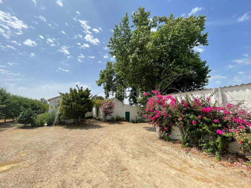 Foto 7f46fb2a-bb4d-4c70-a16e-cdb09611ac6b. Finca rústica a n/a a Almodóvar del Río