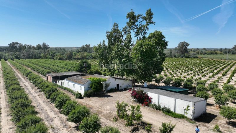 Foto e5493888-ada1-4358-9f6e-ebd791f2e2d0. Finca rústica a n/a a Almodóvar del Río