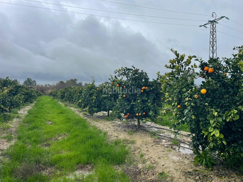 Foto 492c2988-edc0-4a71-969c-362ebed208dd. Finca rústica en n/a en Almodóvar del Río
