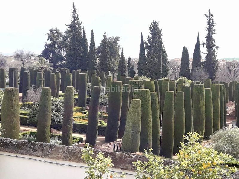 Foto 8fcd322b-354e-4238-87a0-f51eef940fc9. Pis amb calefacció a casco histórico - ribera - san basilio Córdoba