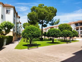 Flat  Avenida de los almogávares