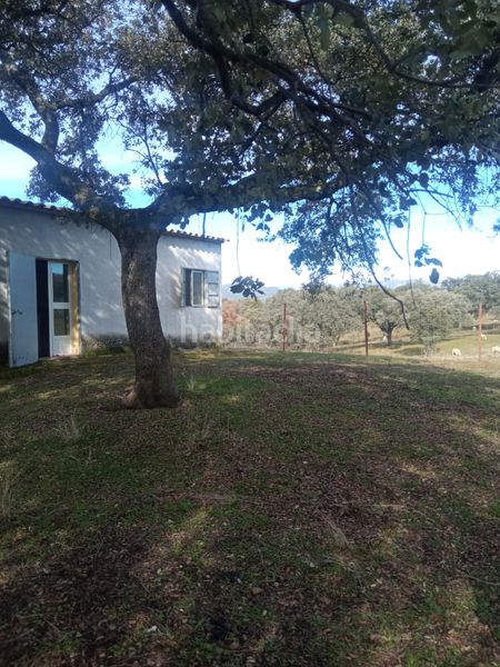 Foto 0eb76e73-a4c0-491b-95a9-995b246b105e. Finca rústica a calle azuel 7 a Cardeña