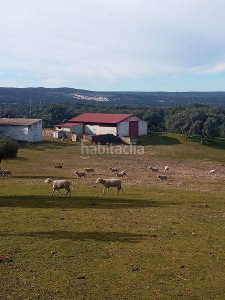 Foto 12180dfb-f8d1-4d76-8878-2c79bd442226. Finca rústica a calle azuel 7 a Cardeña