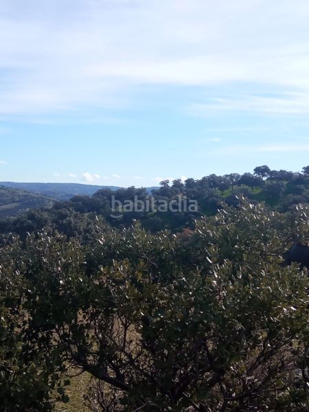 Foto bef640af-5934-4a31-99ad-74e9881ead37. Finca rústica a calle azuel 7 a Cardeña