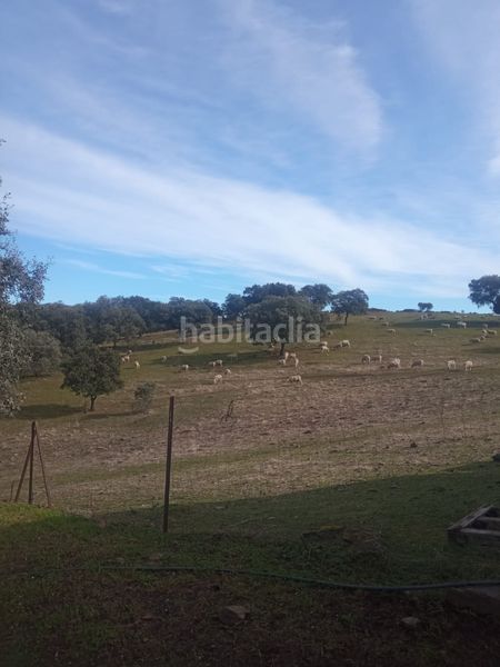 Foto d85cb6e1-4055-4a9d-8e6e-cc31da0224d3. Finca rústica a calle azuel 7 a Cardeña