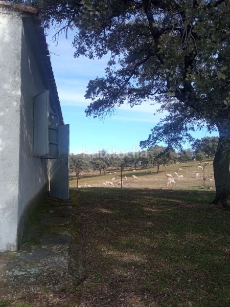 Foto f9b89a4c-5d8d-44f5-bc77-55484e4c1a69. Finca rústica a calle azuel 7 a Cardeña