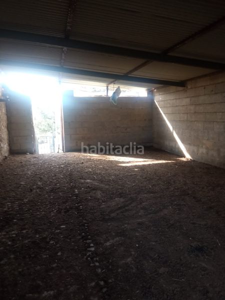 Foto 1be34929-3771-4b8b-9724-70381e5d0f5b. Finca rústica en calle azuel 7 en Cardeña