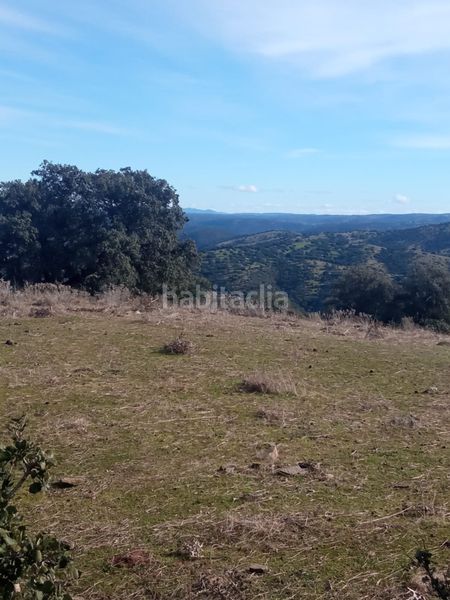 Foto f4be3ac9-ba7b-49f0-8357-aee28881546b. Finca rústica en calle azuel 7 en Cardeña