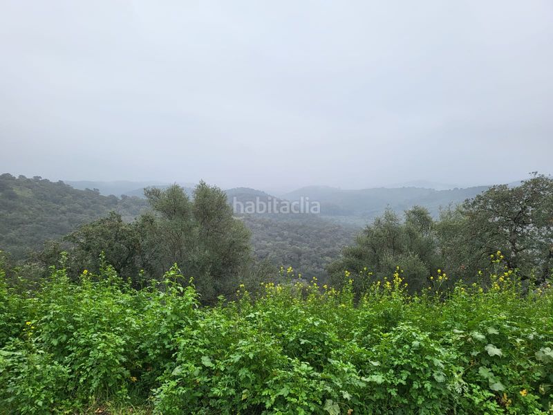 Foto 081a8ce1-a07d-4cbd-85e2-a863eb6b1ed0. Finca rústica en camino de la dehesa 236 en Adamuz