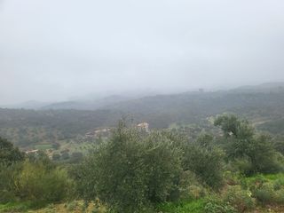 Finca rústica a Camino de la dehesa 236