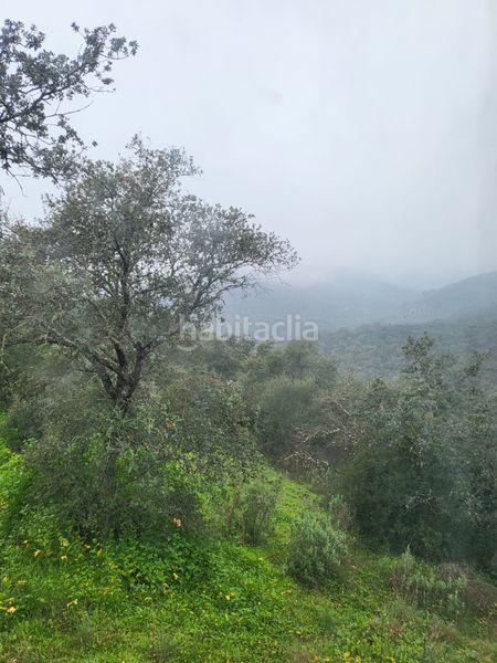 Foto 86bfe397-d675-4c3d-9473-ff51c82d4ea0. Finca rústica en camino de la dehesa 236 en Adamuz