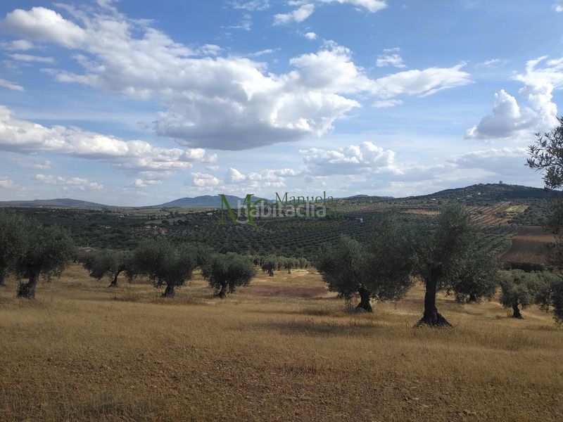 Foto f5909396-6edc-4b64-87f5-deb0a0717030. Terreny residencial a Guareña