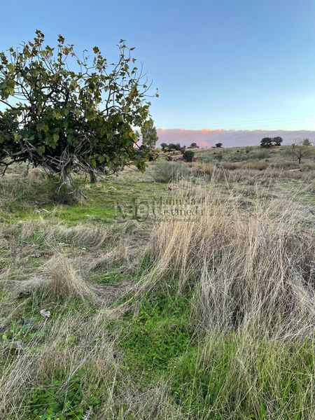 Foto 6fe54541-e1e9-4644-a824-c09500d435da. Masia a Oeste Mérida