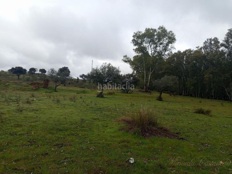 Foto ae905650-1c28-4745-8499-9a9a3a092ebe. Masia a Oeste Mérida