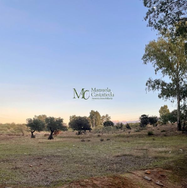 Foto c047e1e4-6bce-40a0-a2aa-6383ca611760. Masia a Oeste Mérida