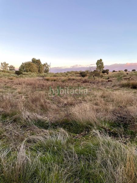 Foto c80b5a97-ee8b-4d98-8a20-d61673fce011. Masia a Oeste Mérida