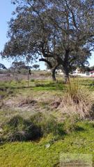 Terreny residencial a Mirandilla. Mirandillaterreno