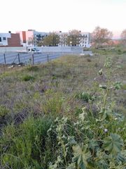 Terreno residencial en Oeste. Méridaterreno