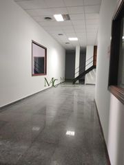 Business premise in Centro