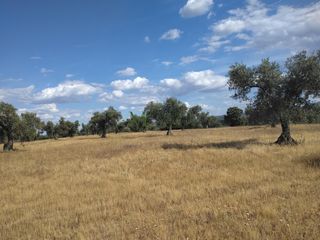 Country house in Guareña. Guareñafinca rustica