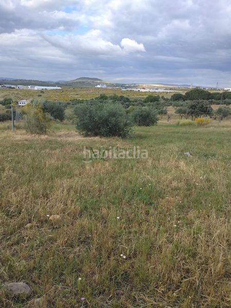 Foto d92453a7-aa03-40a6-9cd8-99aafb853f0e. Masia a Oeste Mérida