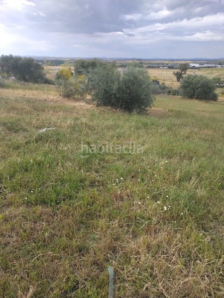 Foto e40b65f2-c2c7-4461-bf2c-a406e727c1e9. Masia a Oeste Mérida