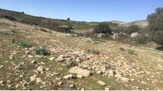 Landgut in Benaoján. Finca rustica en la cercania de ronda