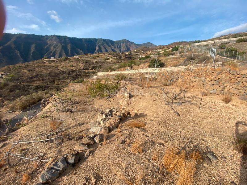 Foto 015aa071-86d4-40e4-aa33-29d62e1123b1. Finca rústica en n/a terreno en las lomas en Centro Güímar