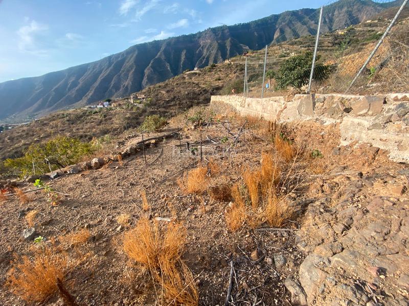 Foto 3da6fe25-b347-43ab-9c5e-4bd16a09e42a. Finca rústica en n/a terreno en las lomas en Centro Güímar