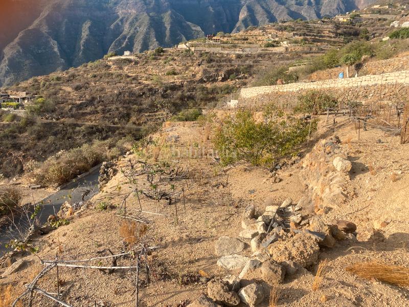 Foto 403d2add-30c4-4c6f-8ba4-f6ff96388a95. Finca rústica en n/a terreno en las lomas en Centro Güímar