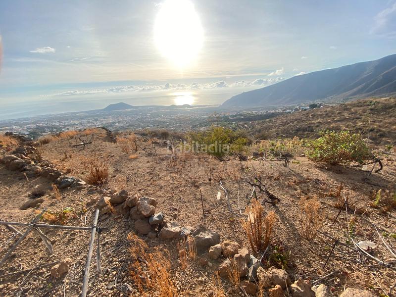 Foto 5932ac13-17e2-4f30-9e89-89f08c6654f0. Finca rústica en n/a terreno en las lomas en Centro Güímar