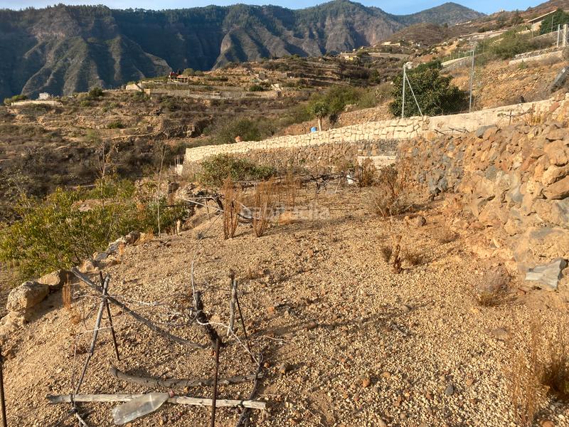 Foto 6c0563f4-3053-491a-bdda-79edaa5503a8. Finca rústica en n/a terreno en las lomas en Centro Güímar