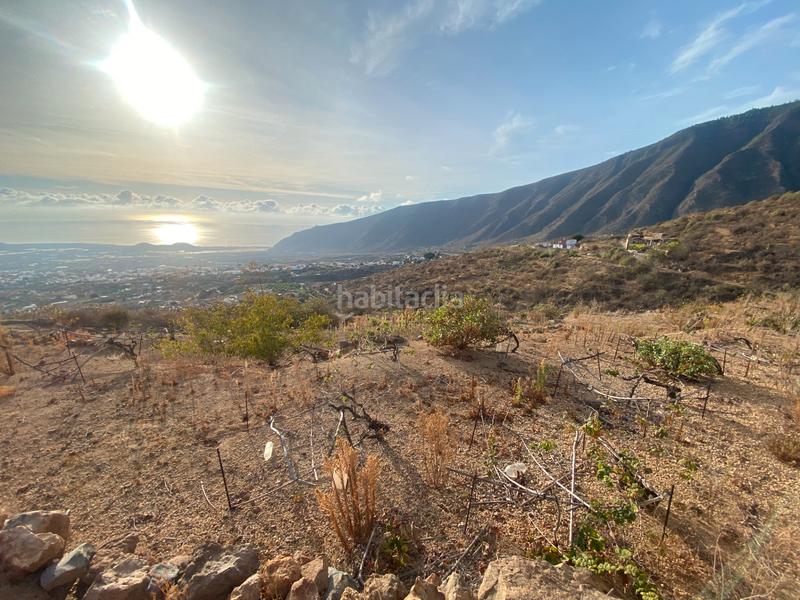 Foto ebe191cd-476c-4743-bca6-9df2d98a70b4. Finca rústica en n/a terreno en las lomas en Centro Güímar