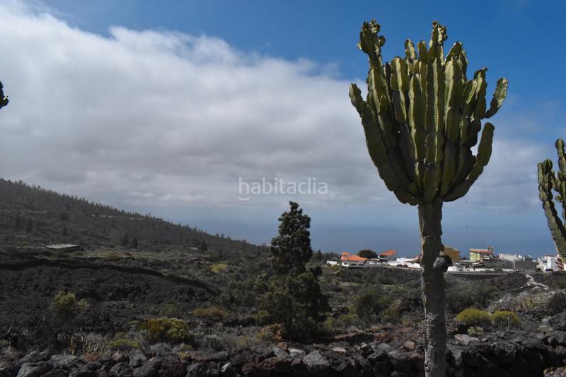 Foto 52d0209a-9140-45f8-aa2f-666f0724a718. Chalet in calle canto juan alonso 4 in Tamaimo - Arguayo Santiago del Teide