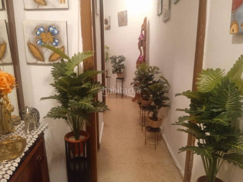 Foto c8a20350-f9a4-4a83-af74-a5eb074d0346. Pis a L´Illa Perduda Valencia