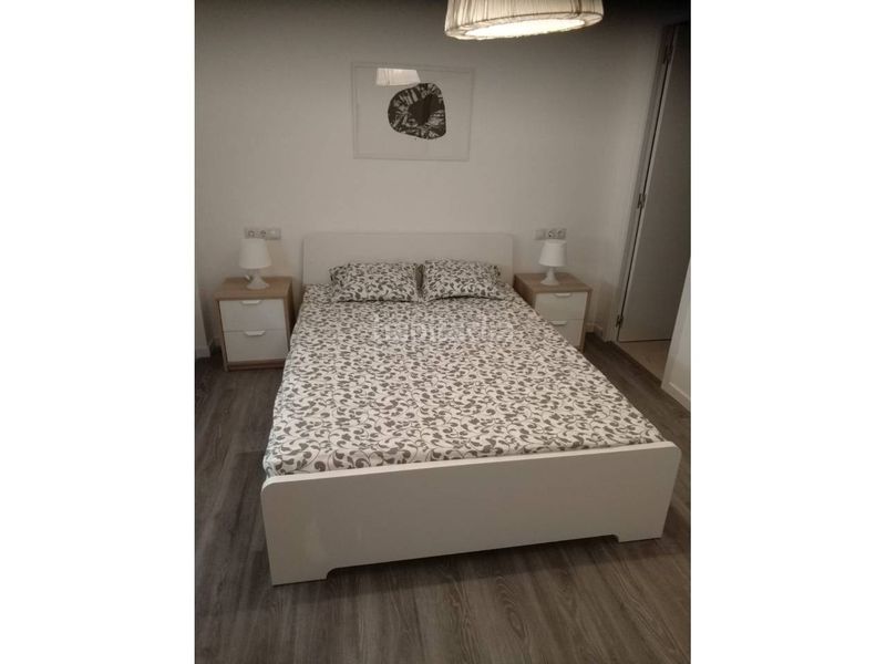 Foto e1c92faf-f0bf-4c73-8295-f950e2c325a7. Pis a Malva Rosa Valencia