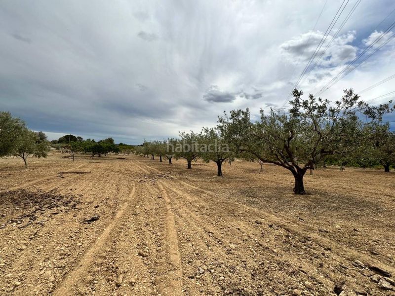 Foto c4e2c838-05b4-4917-a51a-52d777234503. Finca rústica a Montroi / Montroy