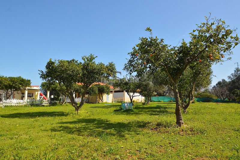 Foto 69217f7d-b9e9-4189-b74b-b2c1f7b060d4. Xalet amb aparcament piscina a Carmona
