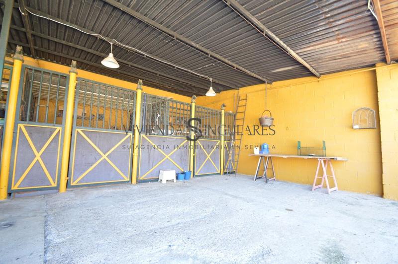 Foto 229c9f21-e2f4-4399-8b2e-d4042ae9f11f. Chalet villa en alcalá de guadaíra en Oromana Alcalá de Guadaira