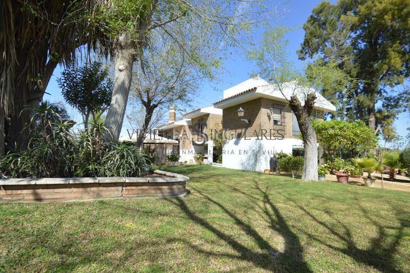 Foto b73662ce-1ced-4699-b8c6-4d46227e48d8. Chalet villa en alcalá de guadaíra en Oromana Alcalá de Guadaira