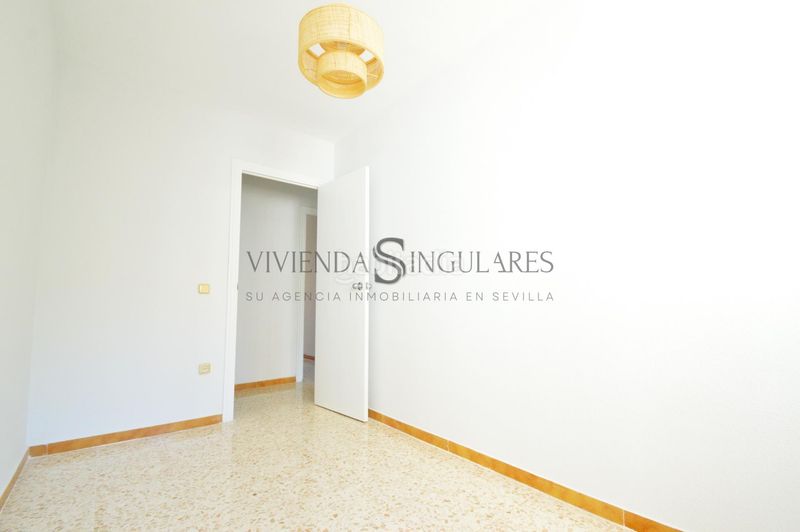 Foto a6a33ec3-4ce8-4f04-9e35-55c51ea6079e. Pis a San Carlos - San José Sevilla
