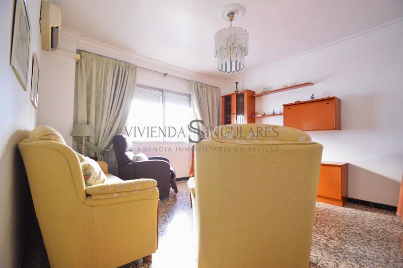 Foto 1a0f1f1d-cd3c-4f64-b8fe-b7a57c3831b4. Pis a Cruz Roja Sevilla