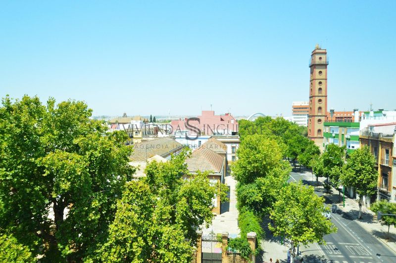 Foto 0284bd82-2d38-463a-8b39-efe03e01a752. Pis a San Gil Sevilla