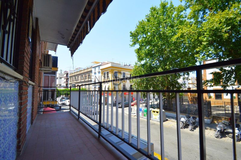 Foto 0a1eeec6-395f-4921-80c3-96b5a12d3514. Pis a San Gil Sevilla